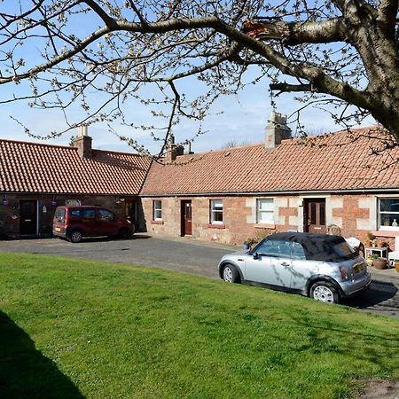 Charming Cottage In North Berwick With Sea Views Esterno foto
